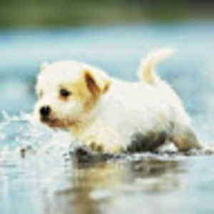 Meet your Posher, Hailey